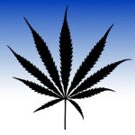 MarijuanaLeaf2